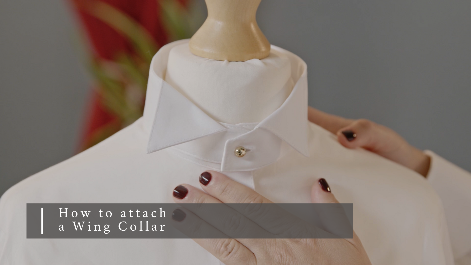 Wing collar dress on sale shirt