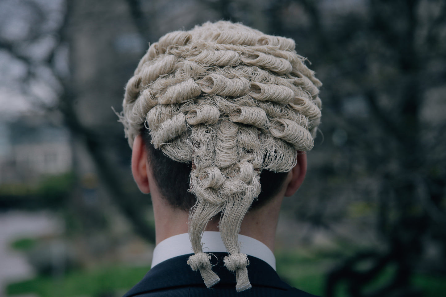 Hemp & Hemp Vegan Barrister's Wig