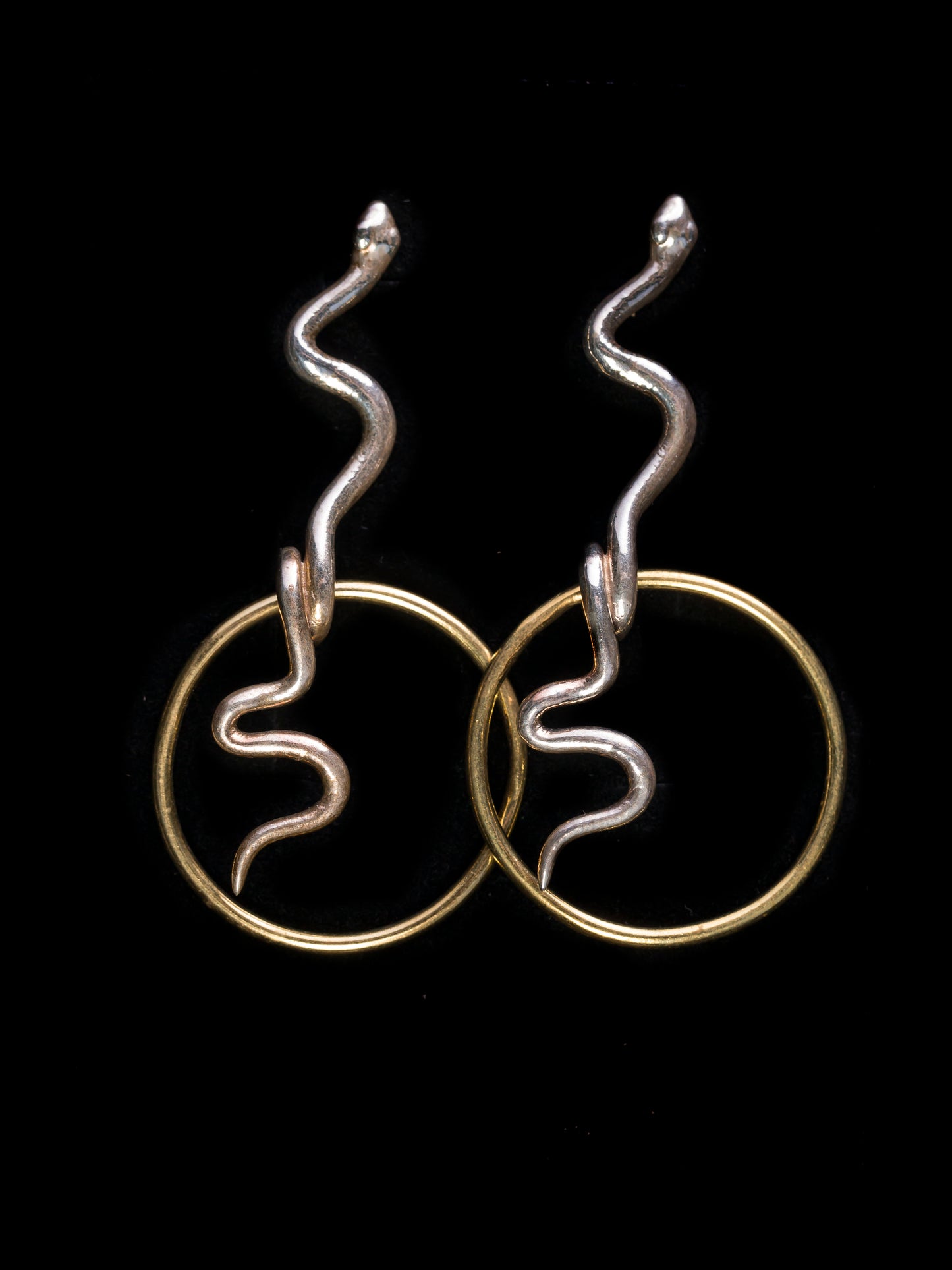 Snake Hoop Earrings with Silver