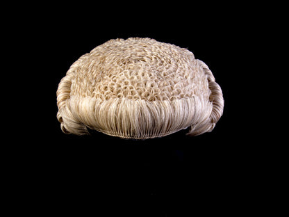 Horsehair Barrister's Wig