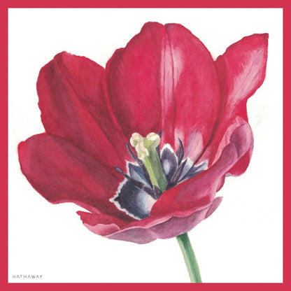 Hathaway Silk Scarf -  Tulip